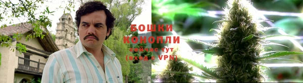 бошки Алексеевка