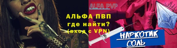 стафф Алексин