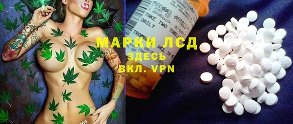 spice Алзамай