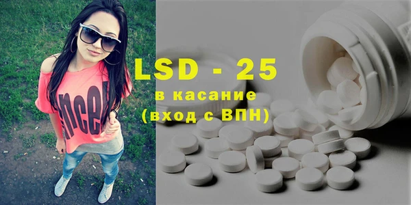 spice Алзамай