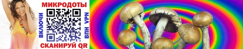 даркнет сайт  Губкин  Псилоцибиновые грибы Cubensis 